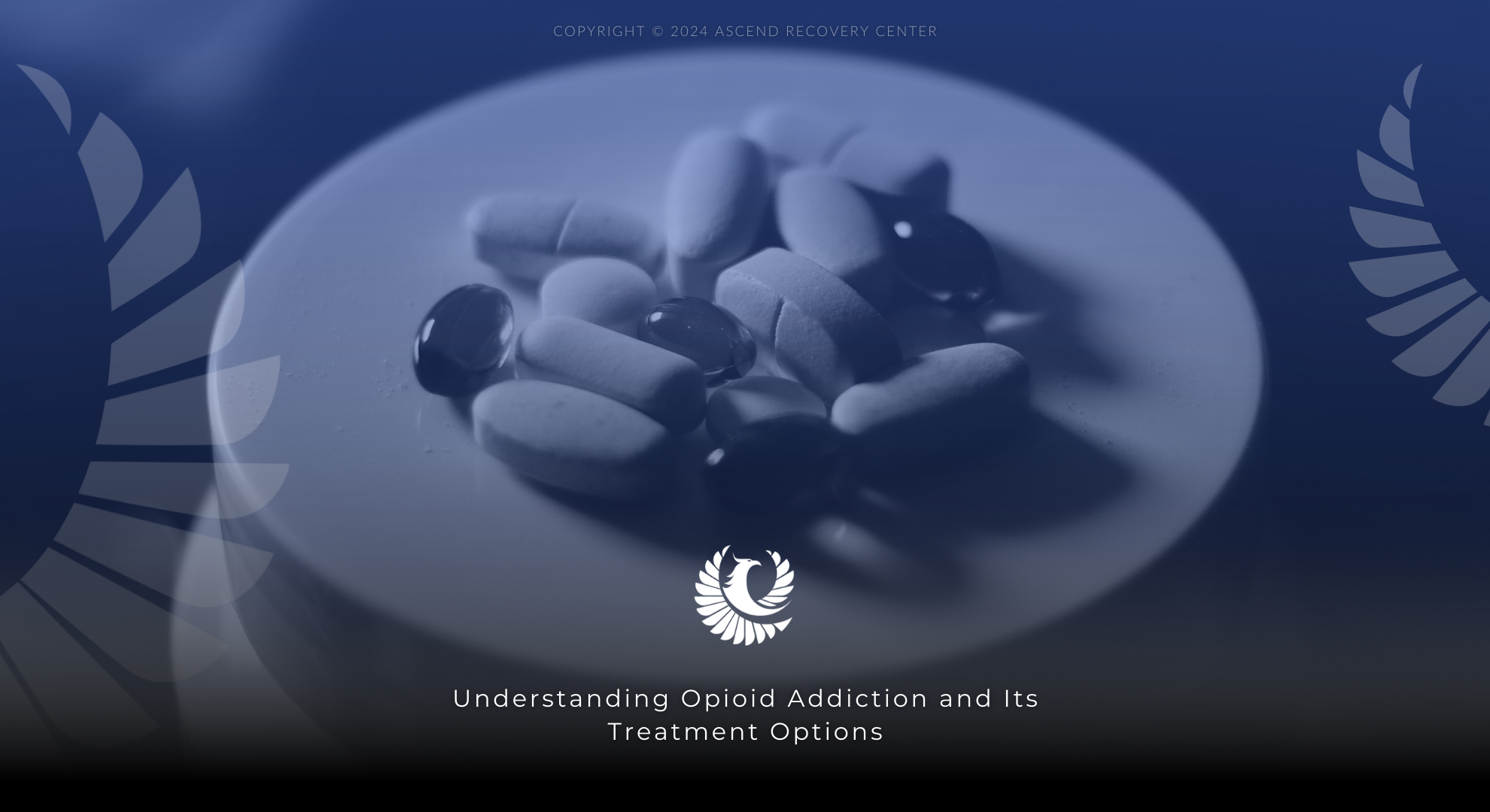 understanding opioid addiction and its treatment options
