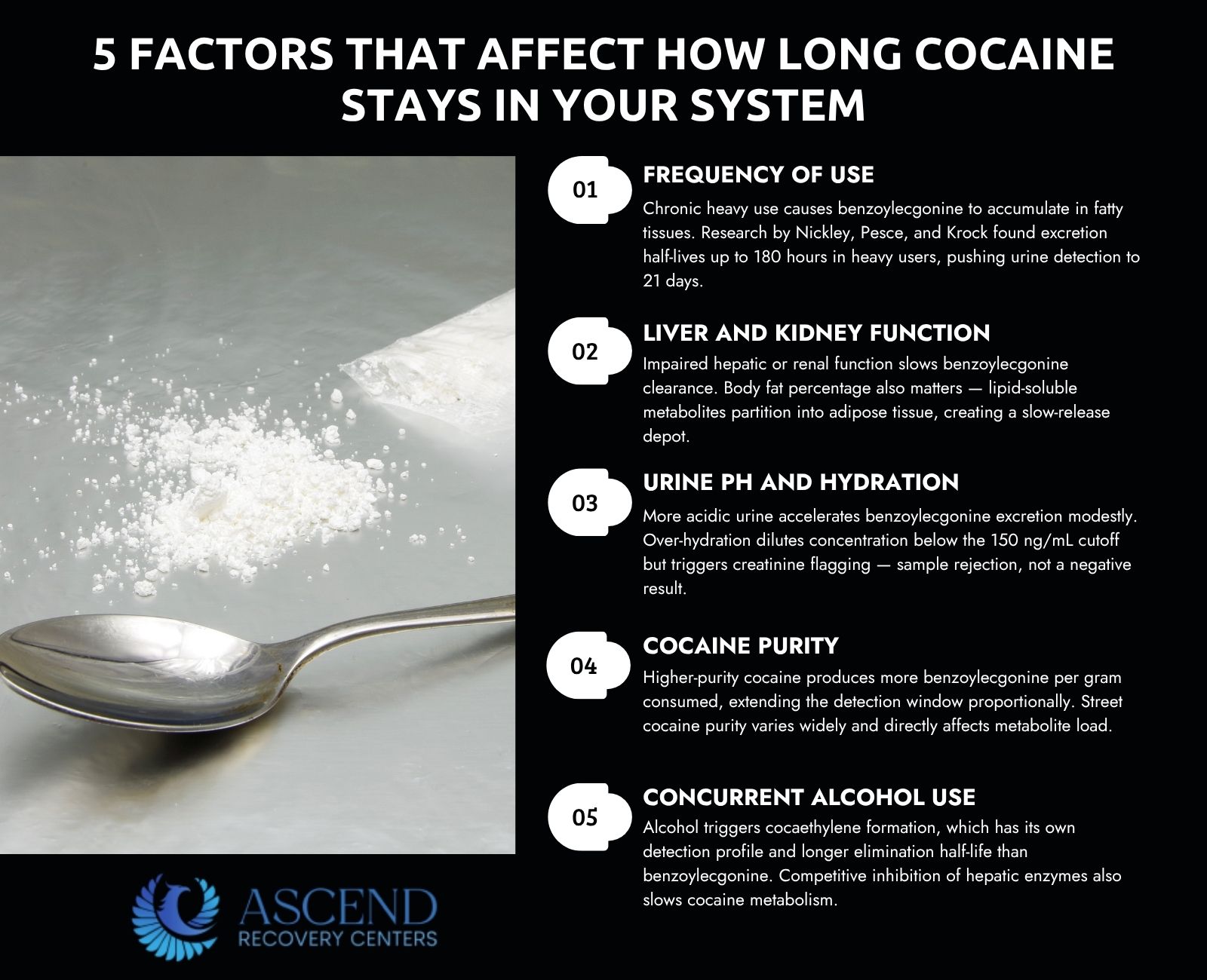 factors affecting cocaine detection time